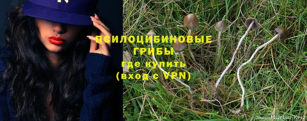 гашик Остров