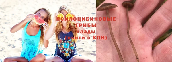 амфетамин Осташков