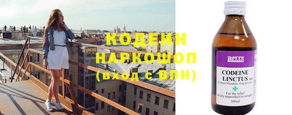шишки Осинники