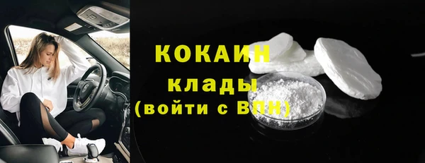шишки Осинники