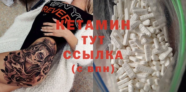 шишки Осинники
