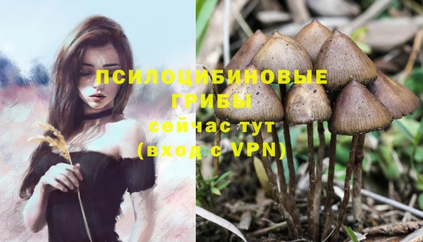 гашик Остров