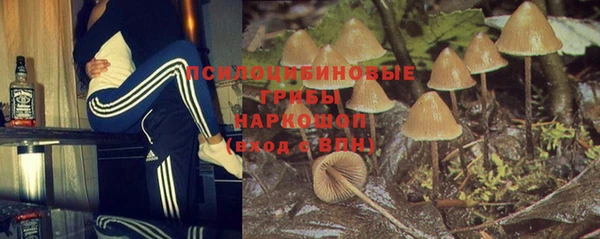 гашик Остров