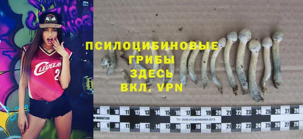 гашик Остров