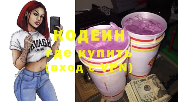 шишки Осинники