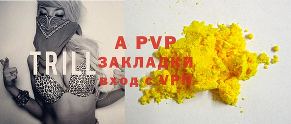 шишки Осинники