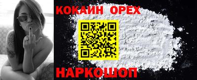 стаф Кандалакша