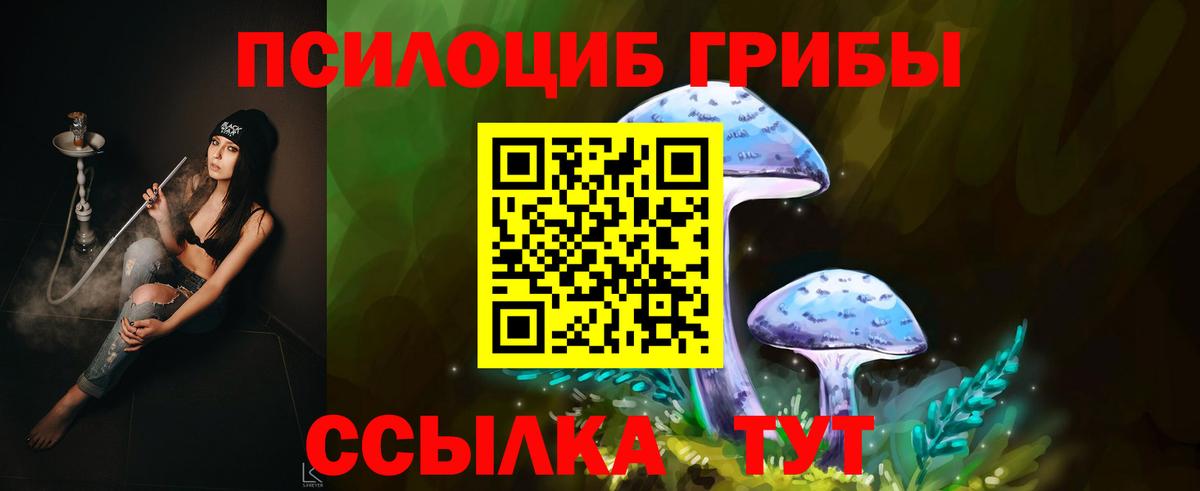 Псилоцибиновые грибы Cubensis  Вход с VPN  Свободный 